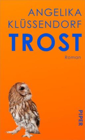 Buch Trost Angelika Klüssendorf