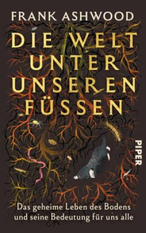 Knjiga Die Welt unter unseren Füßen Frank Ashwood