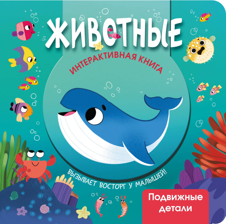 Könyv Животные 