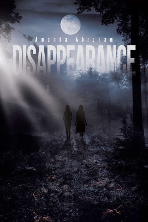 Kniha Disappearance Amanda Abraham