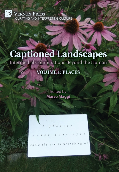 Book Captioned Landscapes Marco Maggi