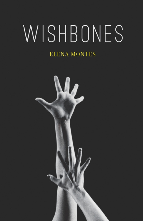 Knjiga Wishbones Elena Montes