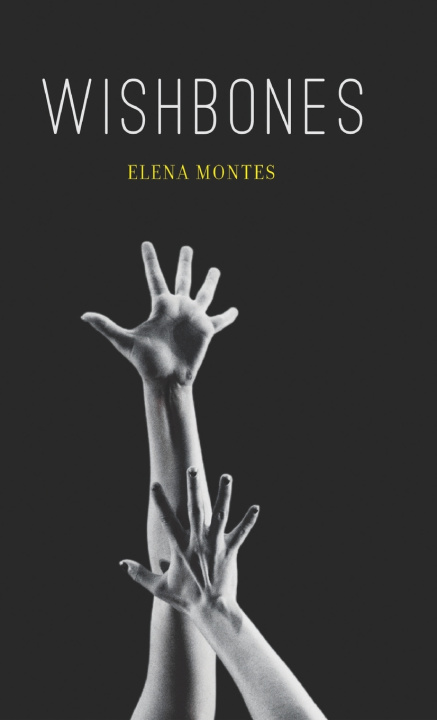Knjiga Wishbones Elena Montes