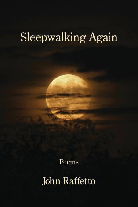 Kniha Sleepwalking Again John Raffetto