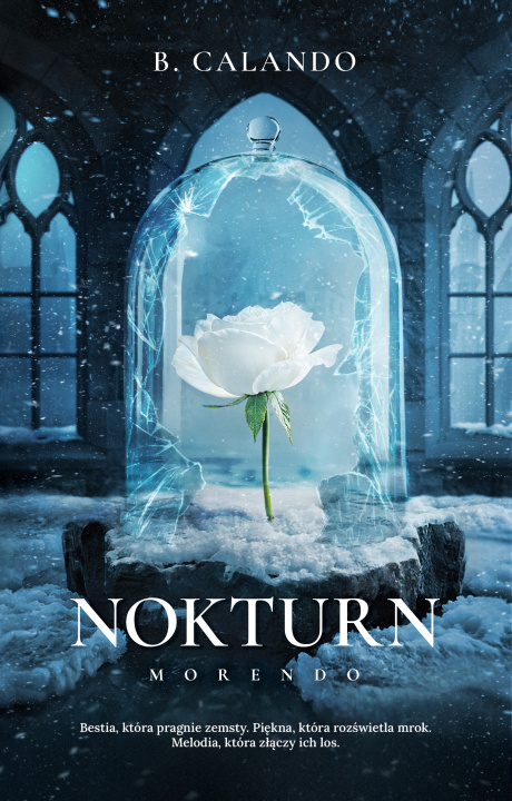 Kniha Nokturn B. Calando