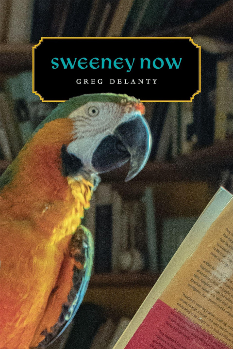 Kniha Sweeney Now Greg Delanty