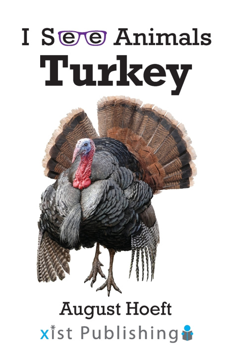 Kniha Turkey August Hoeft