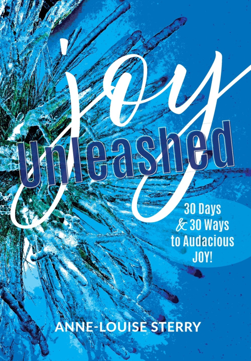 Kniha Joy Unleashed Anne-Louise Sterry