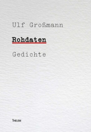 Könyv Rohdaten Ulf Großmann