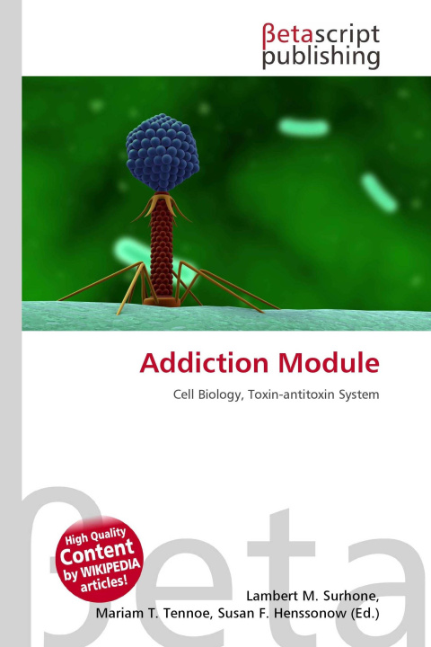 Könyv Addiction Module Mariam T. Tennoe