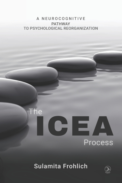 Knjiga The ICEA Process Sulamita Frohlich