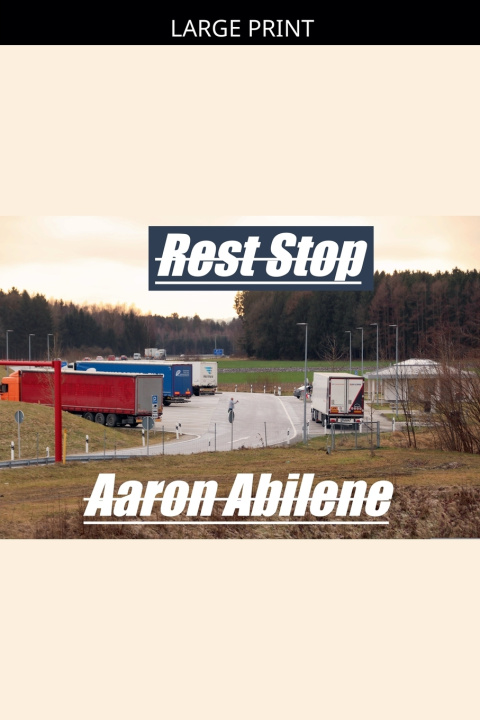 Knjiga Rest Stop Aaron Abilene