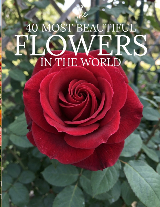 Libro The 50 Most Beautiful Flowers in the World Eronn Miina