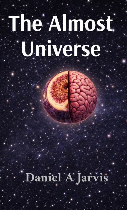 Könyv The Almost Universe Daniel A Jarvis