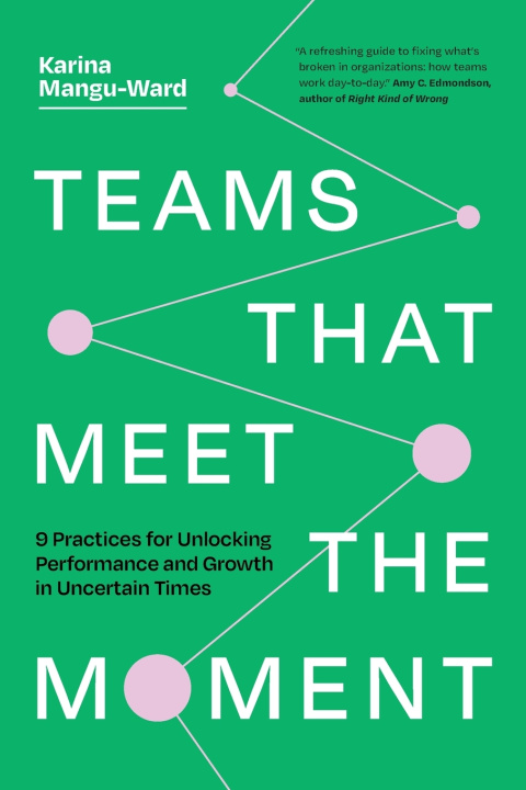 Buch Teams That Meet the Moment Karina Mangu-Ward