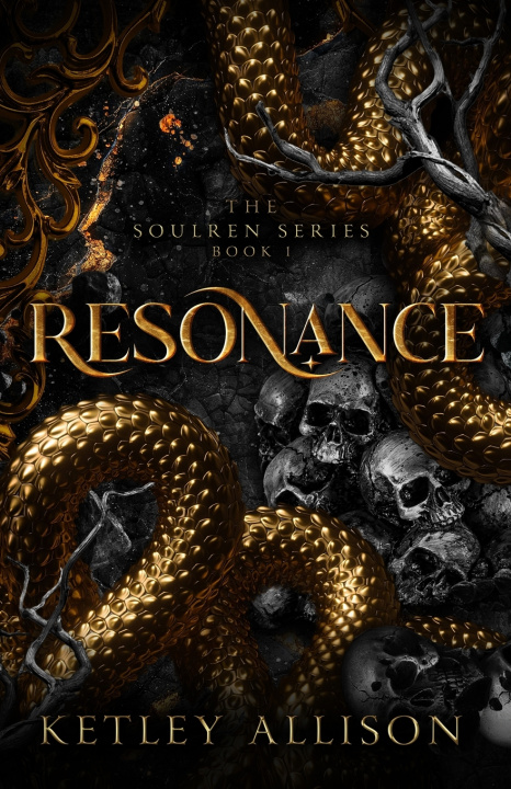 Kniha Resonance Ketley Allison
