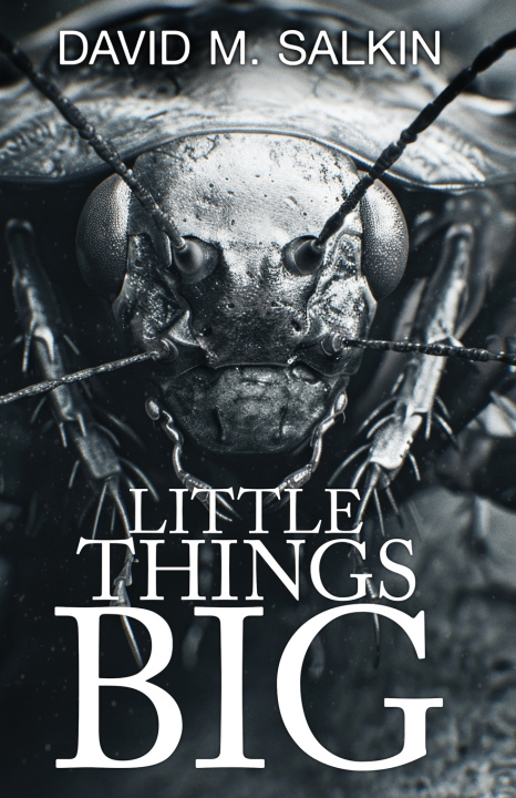 Knjiga Little Things Big David M. Salkin