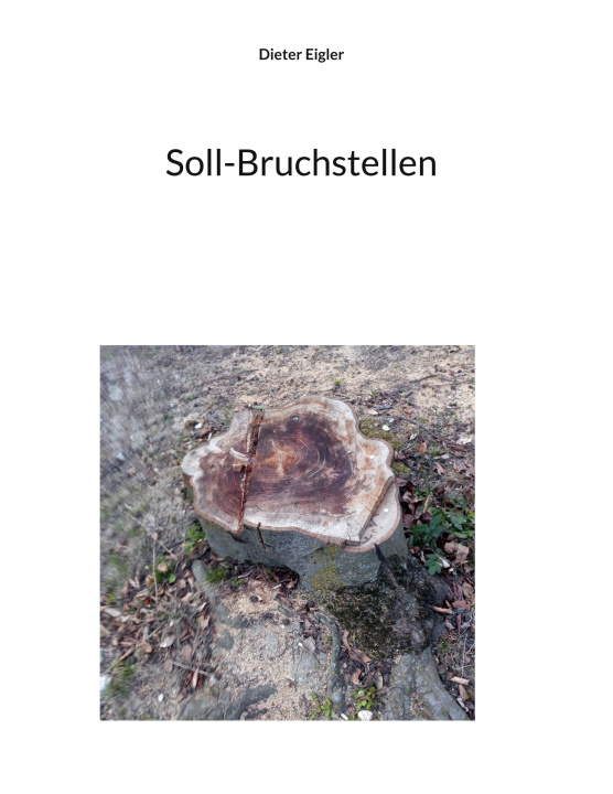 Knjiga Soll-Bruchstellen 