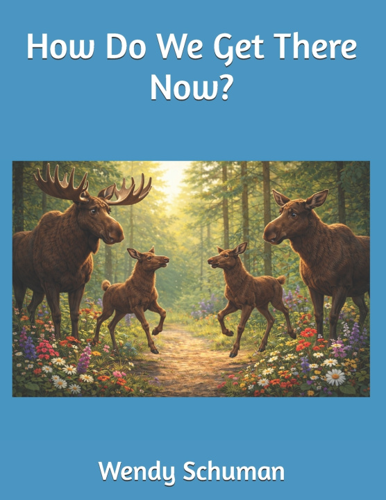 Knjiga How Do We Get There Now? Wendy Schuman
