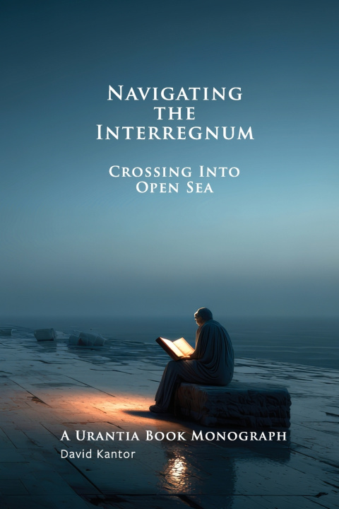 Kniha Navigating the Interregnum David A Kantor