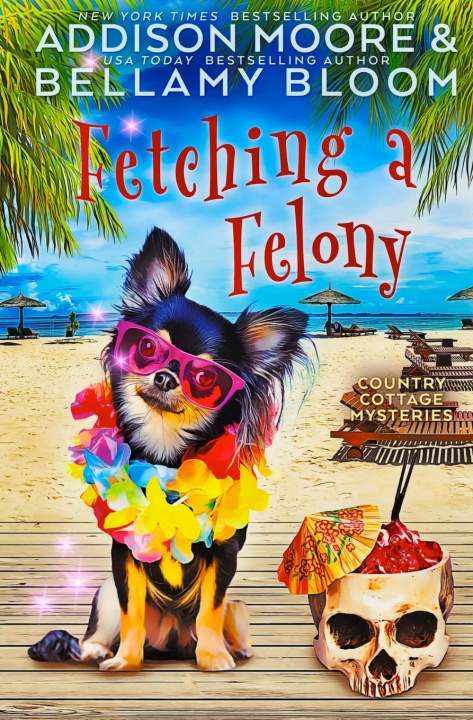 Boek Fetching a Felony Bellamy Bloom
