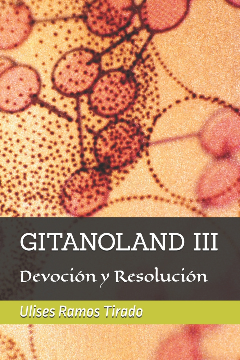 Könyv GITANOLAND 3 Ulises Ramos Tirado