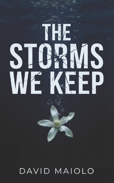 Knjiga The Storms We Keep David Maiolo