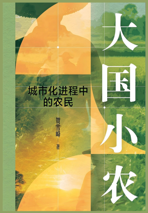 Kniha 大国小农：城市化进程中的农民 贺雪峰