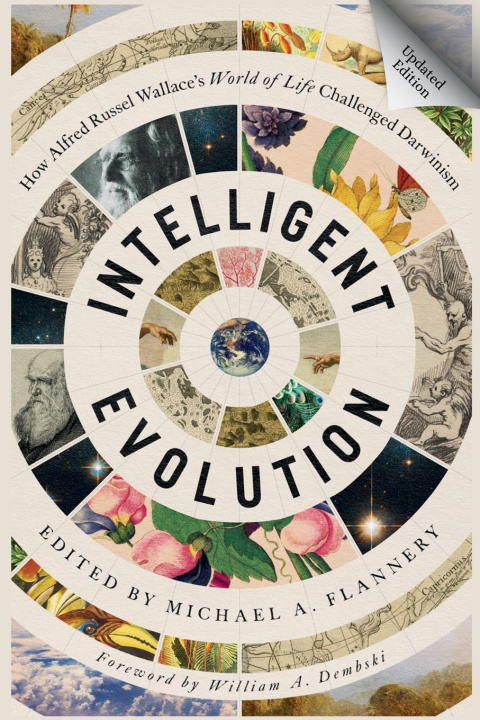 Könyv Intelligent Evolution Michael Flannery