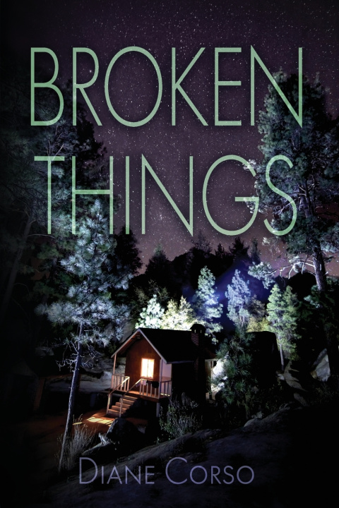 Könyv Broken Things Diane Corso