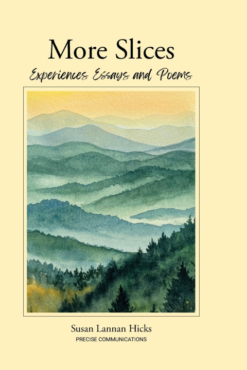 Buch More Slices Susan Lannan Hicks