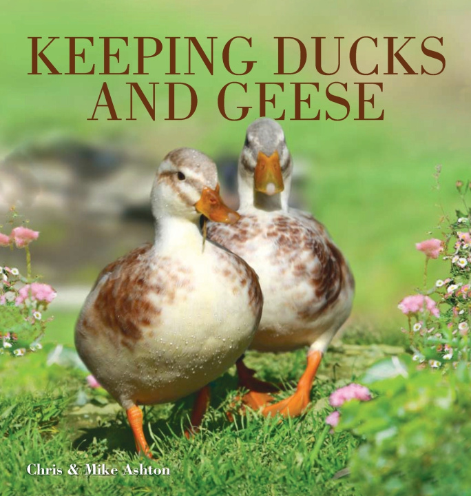Boek Keeping Ducks & Geese Chris Ashton