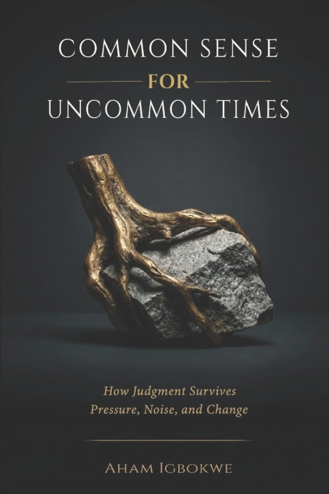 Knjiga COMMON SENSE for UNCOMMON TIMES Aham Igbokwe