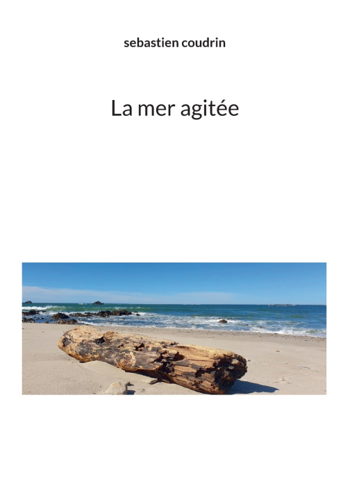 Kniha La mer agitée Sebastien Coudrin