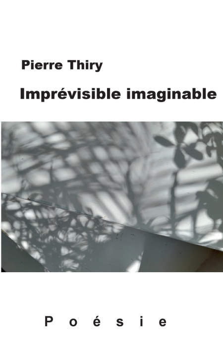 Könyv IMPREVISIBLE IMAGINABLE THIRY PIERRE