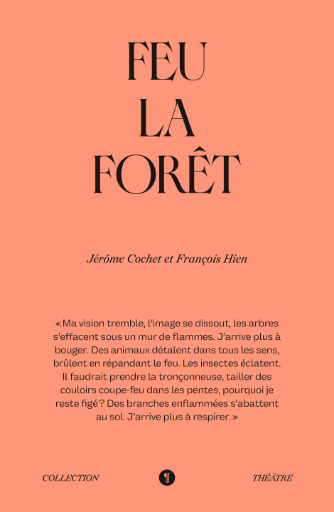 Kniha Feu la forêt Cochet