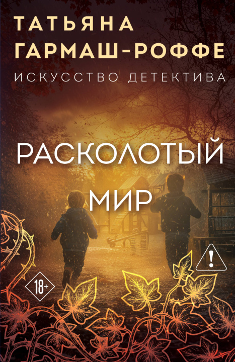 Könyv Расколотый мир 