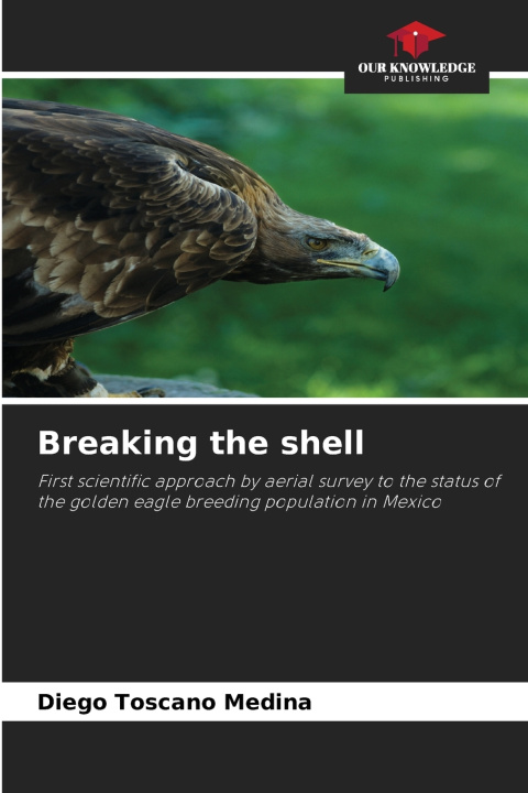 Könyv Breaking the shell Diego Toscano Medina