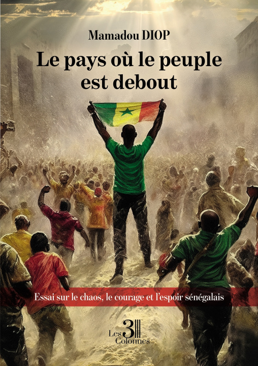 Könyv Le pays où le peuple est debout Mamadou Diop