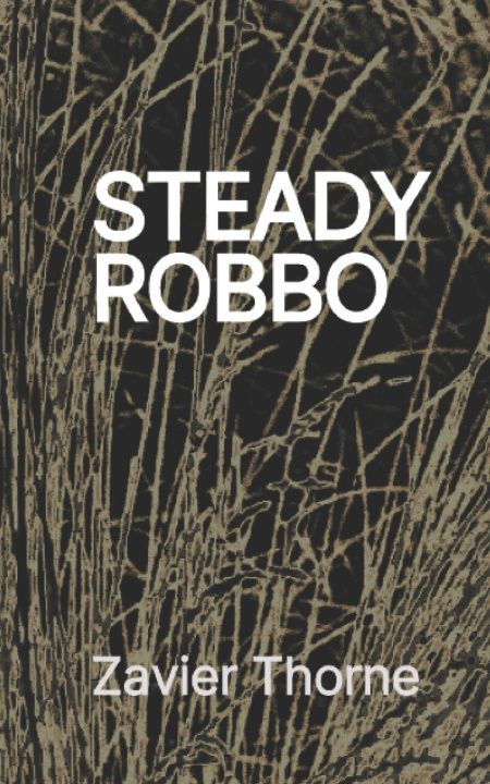 Knjiga Steady Robbo Zavier Thorne