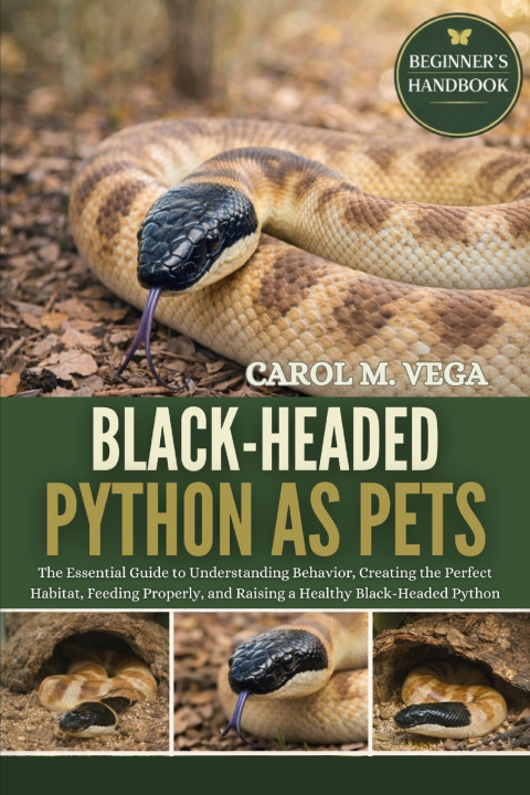 Könyv BLACK-HEADED PYTHON AS PETS CAROL M. VEGA