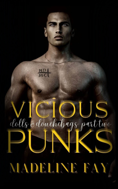 Könyv Vicious Punks Madeline Fay