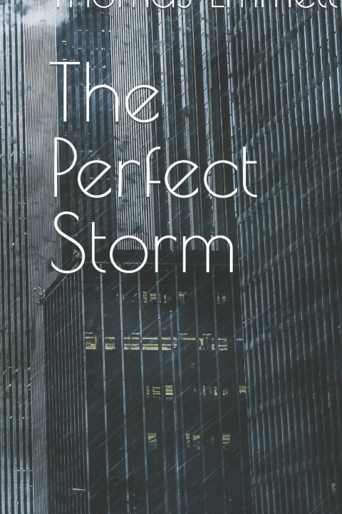 Buch The Perfect Storm Thomas Emmett