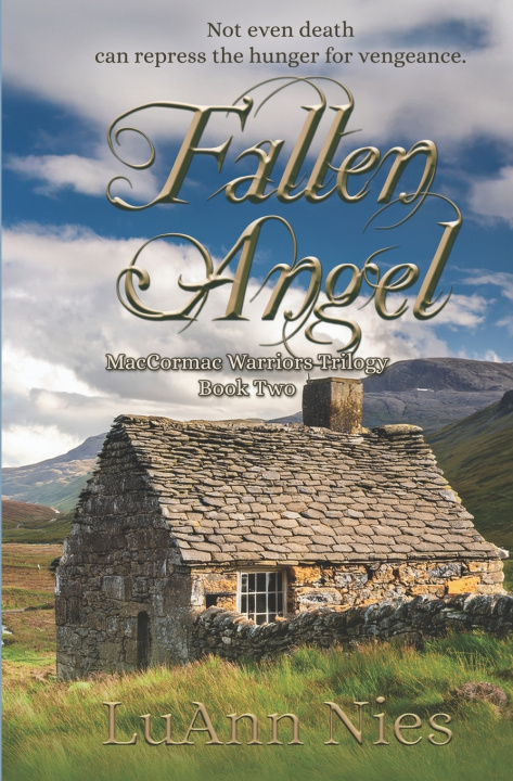 Kniha Fallen Angel LuAnn Nies