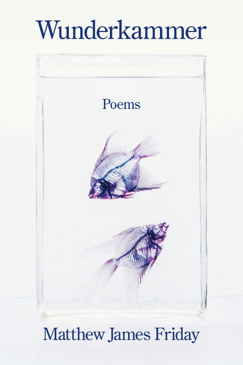 Kniha Wunderkammer Matthew James Friday