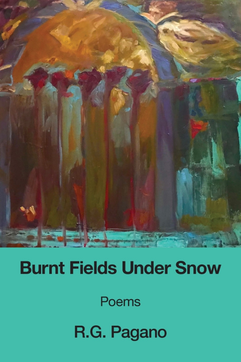 Knjiga Burnt Fields Under Snow R. G. Pagano