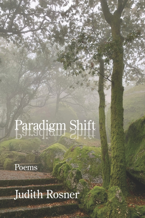 Kniha Paradigm Shift Judith Rosner