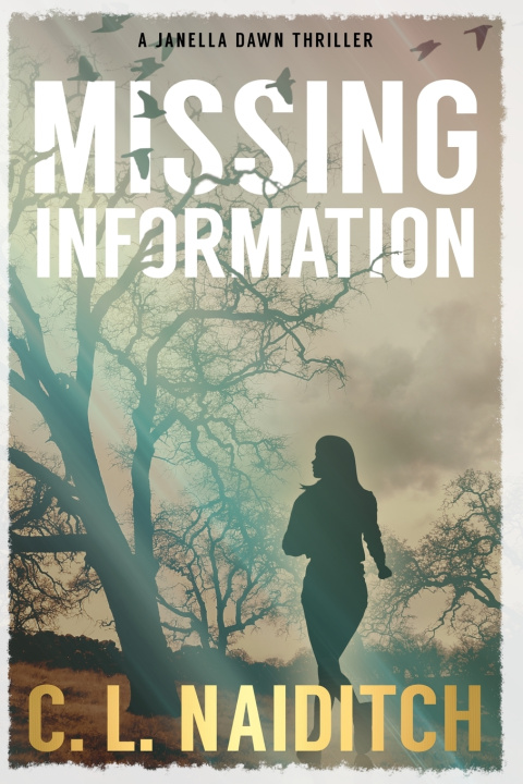 Könyv Missing Information C. L. Naiditch