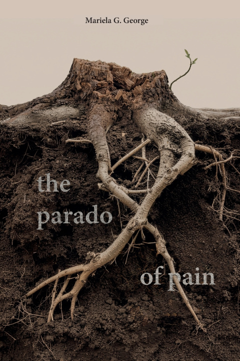 Libro The paradoX of pain Mariela G. George