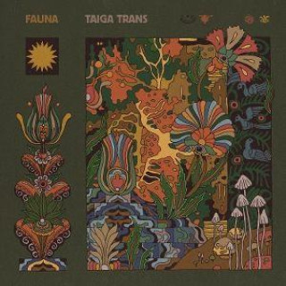 Audio Taiga Trans 